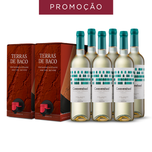 Pack: 2 BIB Terras de Baco Tinto 2021 + 6 Conventual Branco 75cl 2020