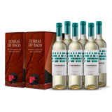 Pack: 2 BIB Terras de Baco Tinto 2021 + 6 Conventual Branco 75cl 2020